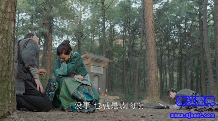 那年花開月正圓劇照